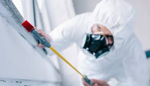 Emergency Pest Control Services in Newport East, RI